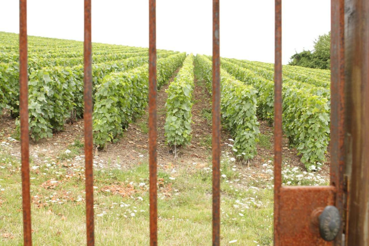 Bed and Breakfast Au Coeur Des Vignes Épernay Esterno foto